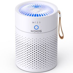 Air Purifiers For Home Bedroom H13 True HEPA Air Filter, Quiet Air Cleaner,Portable Small Air Purifier For Office, Living Room,Amazon Banned Sales Pla